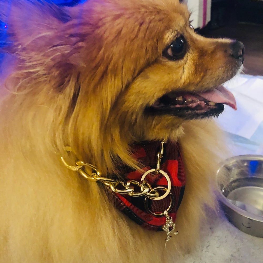 Happy New Year 🎆 2024 - Picture 8 of 14